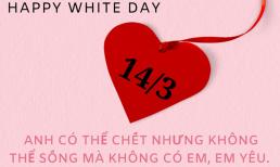 Những lời chúc hay và ý nghĩa nhất cho ngày lễ Valentine trắng 14/3