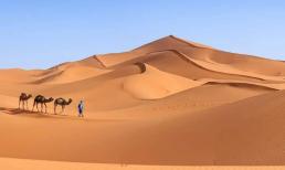 Sa mạc hình thành như thế nào và tại sao ban ngày lại nóng và ban đêm lại lạnh đến vậy?