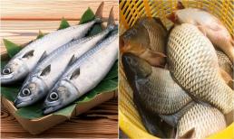 Cá biển hay cá nước ngọt tanh hơn, ăn loại nào thì tốt hơn? Rất nhiều người vẫn chưa biết