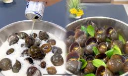 Ốc mua về đừng luộc ngay, đem ngâm với thứ này ốc nhả hết bùn nhớt, luộc thơm ngon hơn hẳn