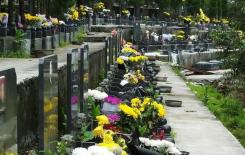 Ngày 4 tháng 4 là ngày tảo mộ chưa từng diễn ra trong 60 năm qua: “Ba người không nên đi tảo mộ và bốn người phải đi tảo mộ”, đó là ai?