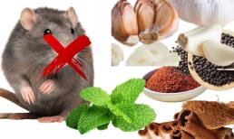 Loại gia vị này có sẵn trong bếp khiến chuột chạy ba phương tám hướng không dám ngoái đầu, nhà sạch và thơm tho