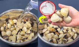 Ngao khi ngâm nhớ đừng dùng nước lã, thêm một thứ gia vị vào ngâm, ngao sẽ nhả hết cát trong phút chốc, sạch và béo
