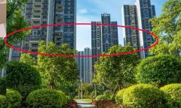 Đây là lần đầu tiên tôi thấy người ta đổ xô đi mua tầng chung cư này, người giàu thật là thông minh!