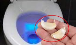 Ném ngay tép tỏi vào bồn cầu, rắc rối mà nhà nào cũng gặp sẽ được giải quyết chỉ sau 1 đêm