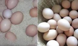 Cho trứng vào tủ lạnh chỉ là một cách, học thêm 3 thủ thuật này, trứng vẫn tươi sau nửa năm! Mùa hè đến, hãy nhanh tay tham khảo