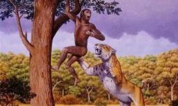 Con người thực sự không có kẻ thù tự nhiên? Một loài động vật suýt ăn thịt tổ tiên chúng ta, đến nay một số người vẫn còn sợ hãi