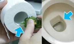 Nhỏ giọt dầu gió vào cuộn giấy vệ sinh, lợi ích tuyệt vời, nhiều người sẽ tiếc vì đã không biết sớm hơn