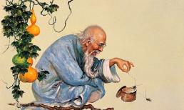 Kiểu người này tưởng khù khờ nhưng lại rất khôn ngoan, bạn quen ai không?