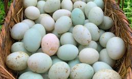 Khi mua trứng vịt lộn, có sự khác biệt lớn giữa việc chọn “vỏ trắng” hay “vỏ xanh”, nên tìm hiểu kỹ trước khi mua