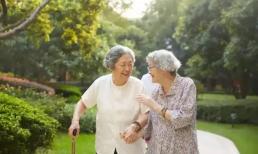 Một 'loại hình chăm sóc người già mới' khác sắp ra mắt: rẻ hơn việc thuê bảo mẫu, miễn phí hơn viện dưỡng lão và an toàn hơn cho con bạn