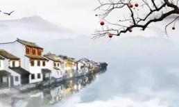 Bạn có nằm trong top 10 'kẻ ngốc mới' của năm 2024 không?