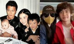 Trương Bá Chi buột miệng thốt ra một câu khiến Tạ Đình Phong vô cùng cảm kích, Tạ Hiền cũng tuyên bố cô là con dâu tốt nhất của mình 