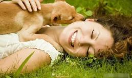 Phụ nữ thường thích nuôi chó đực hơn chó cái, tại sao? Câu trả lời khiến nhiều người bất ngờ! 