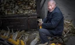 Người xưa có câu: 'Nam không ba, nữ không bốn, năm là trống, sáu là đầy', có ý nghĩa gì? Chứa đựng triết lý sâu sắc