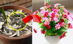 Trộn một vài thứ nhỏ vào đất để đất tơi xốp và màu mỡ, mọi thứ sẽ nảy mầm! Người mới bắt đầu có thể học cách làm