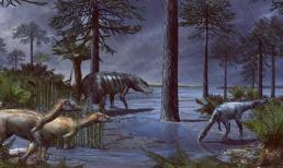 230 triệu năm trước, trên trái đất đã xảy ra một trận mưa lớn kéo dài suốt 2 triệu năm, đưa loài khủng long lên ngai vàng thống trị trái đất