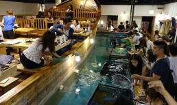 Một nhà hàng kỳ lạ ở Nhật Bản, khách muốn ăn cá thì phải tự bắt, không bắt được thì phải làm sao?