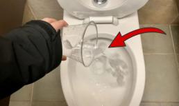 Đá lạnh đem đổ vào bồn cầu có công dụng lớn, biết để áp dụng không sẽ tiếc 