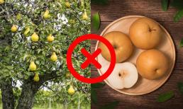 Hoa lê rất đẹp, quả lê rất ngon nhưng người xưa kiêng trồng lê trước nhà, kiêng thắp hương quả lê, vì sao?