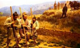 Tại sao người xưa thường ăn cỏ và vỏ cây thay vì ăn “cá tôm” khi nạn đói xảy ra?