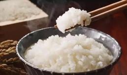 Hâm lại cơm để qua đêm có gây ung thư không? Bác sĩ: 4 thứ này không thể hâm nóng được, đừng tự tìm đến phiền phức