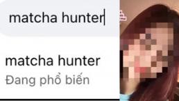 'Matcha hunter' có nghĩa là gì? Tại sao lại lọt top từ khóa thịnh hành hiện tại? 