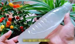 Cây xanh thích nhất là nước vo gạo. Hướng dẫn bạn cách tưới cây xanh bằng nước vo gạo đúng cách để lá nhanh xanh