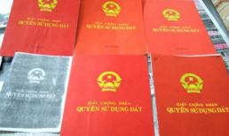 Năm 2024-2025, đây là những trường hợp bị thu hồi sổ đỏ đã cấp, ai cũng nên biết 