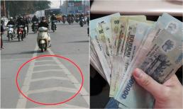 Vạch xương cá là gì? Mức phạt khi lái xe đè vạch xương cá