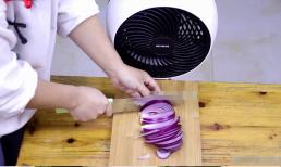Hôm nay tôi mới biết rằng đặt hành tây trước quạt điện và thổi bay có tác dụng thần kỳ như vậy 