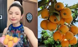 Vợ Quang Hải chi hơn nửa triệu đồng mua loại quả dại mọc ven đường Nhật Bản để thử khi mang bầu 