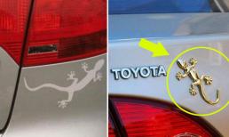 Tại sao nhiều xe lại dán nhãn 'Tắc kè' ở phía sau? Hầu hết mọi người chỉ làm theo đám đông và không có nhiều người thực sự biết!