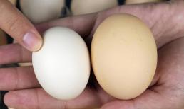 Khi mua trứng nên chọn trứng to hay nhỏ? Cô bán gà lỡ miệng nói ra... đừng mua nhầm nữa nhé