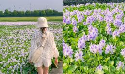 Gợi ý khu vực nghỉ lễ, 'chữa lành' hút giới trẻ, ngay trong lòng Hà Nội, chỉ tốn vài chục nghìn tiền xăng