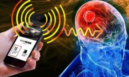 Bức xạ từ điện thoại, máy tính có thể gây ung thư, vô sinh: Áp dụng ngay cách chống lại bức xạ điện từ để cứu nguy cho gia đình