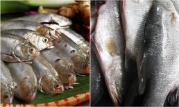 4 loại cá giàu omega 3 bậc nhất, giúp kiểm soát đường huyết, bổ tim chắc xương, ở Việt Nam có rất nhiều