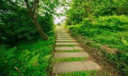 Trắc nghiệm tâm lý: Bạn chọn bước đi trên con đường nào? Kiểm tra đâu là bước ngoặt cuộc đời của bạn?