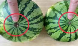 Dưa hấu có ngọt hay không, nhìn vào “4 vị trí” này là biết ngay! 