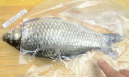 Hóa ra chỉ có một chiếc túi nhựa được sử dụng để cạo vảy cá, không làm bẩn tay bạn và không gây bắn tung tóe, sạch sẽ và hợp vệ sinh!