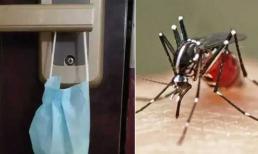 Đừng lo lắng nếu trong nhà có muỗi vào mùa hè, chỉ cần bạn buộc khẩu trang vào tay nắm cửa là muỗi sẽ bị tiêu diệt 