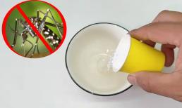 Muỗi sợ nhất bát 'nước' này, nếu bạn đặt một bát ở nhà, muỗi sẽ bị tiêu diệt sạch sẽ