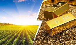 Giữa cơn sốt vàng điên đảo, chuyên gia chỉ 1 loại tài sản có giá trị, tạo thu nhập ổn định và ngừa lạm phát: Rất quen thuộc với người Việt