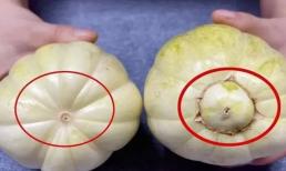 Bạn có thể biết quả dưa lê có ngọt hay không chỉ bằng cách nhìn vào nó! Phương pháp của người nông dân trồng trái cây rất thực tế