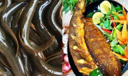 Bị hầu hết mọi người 'ngó lơ” khi đi chợ, nhưng nó lại ví như 'nhân sâm nước', giàu canxi gấp 1,5 lần sữa, đàn ông ăn nhiều khỏe như vâm