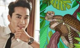 4 con giáp thông minh nhất! Rắn bình tĩnh vượt qua khó khăn và đạt đến đỉnh cao sự nghiệp