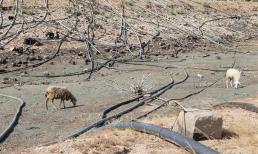 Địa phương nào ít mưa nhất cả nước?