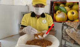 Loại quả xưa dụng đầy gốc không ai ăn, được chàng trai hô biến thành đặc sản, bỏ túi 250 triệu/năm