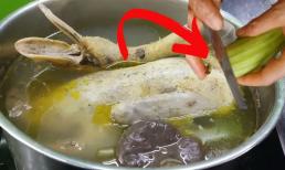 Cách luộc vịt ngon cho Tết Đoan Ngọ: Đừng chỉ cho gừng, thêm thứ này vào nồi hết sạch mùi hôi, thịt mềm hơn hẳn