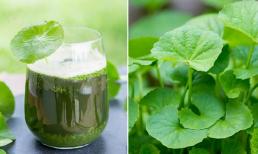 Loại rau được ví như 'nhân sâm của nhà nghèo' là khắc tinh của ung thư: Giá vô cùng rẻ, rất sẵn ở Việt Nam